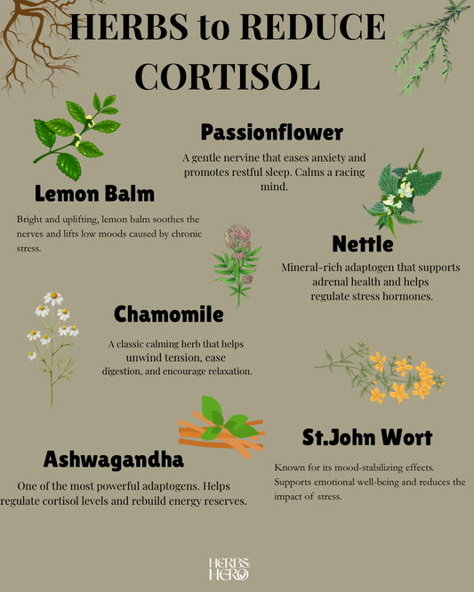 Herbs That Help You Breathe Easier Under Pressure