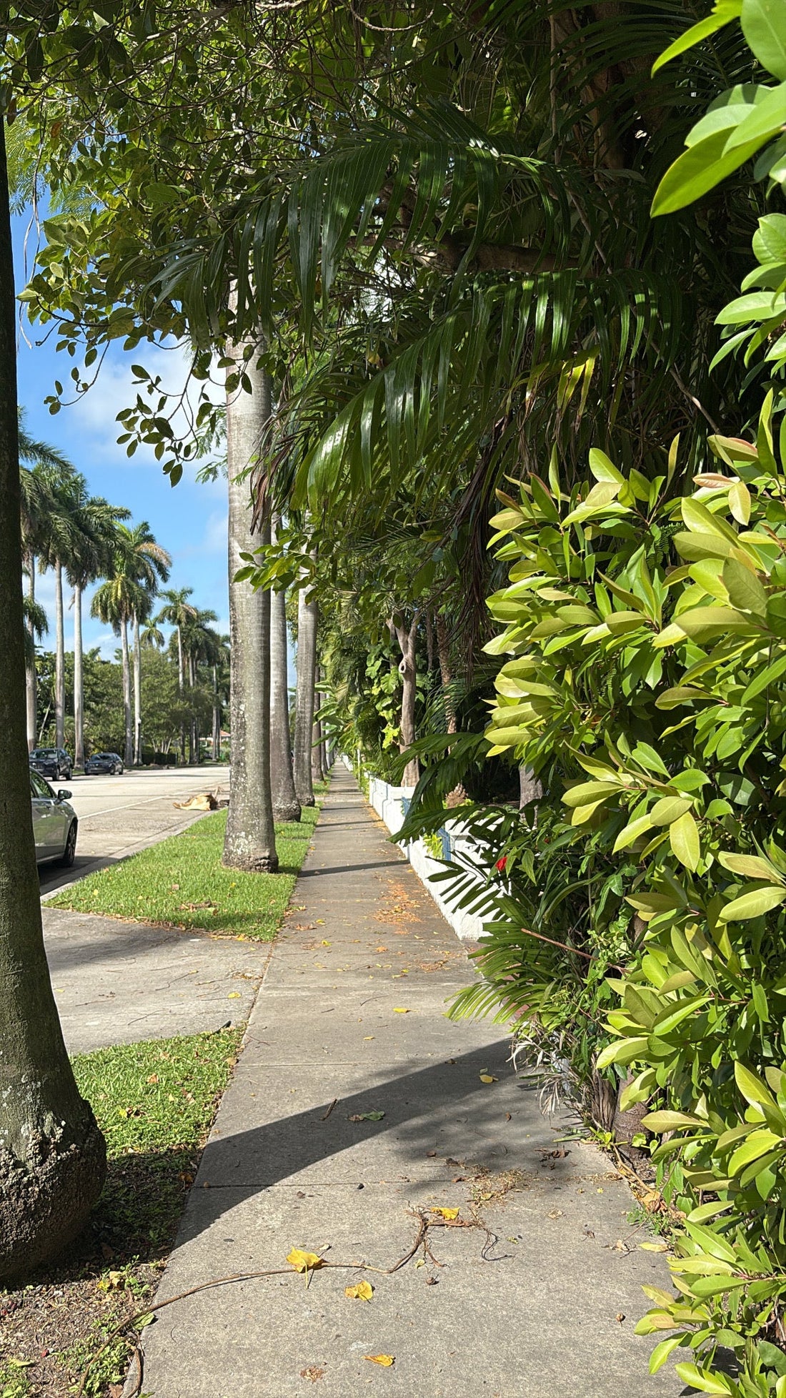 Reconnecting With Your Health: The Power of Holistic and Integrative Healing