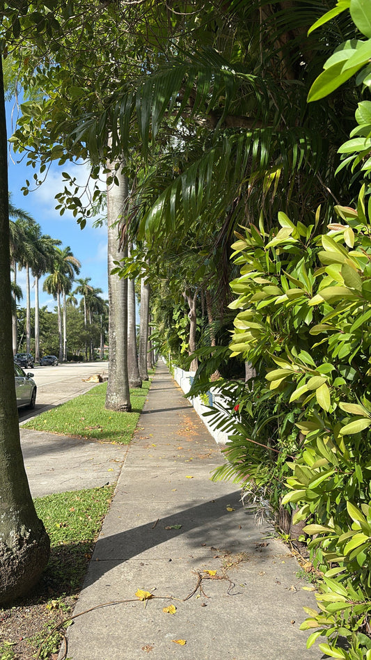 Reconnecting With Your Health: The Power of Holistic and Integrative Healing