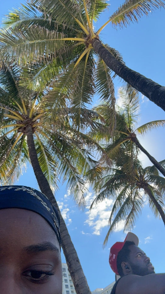 February Update: Surviving the Winter