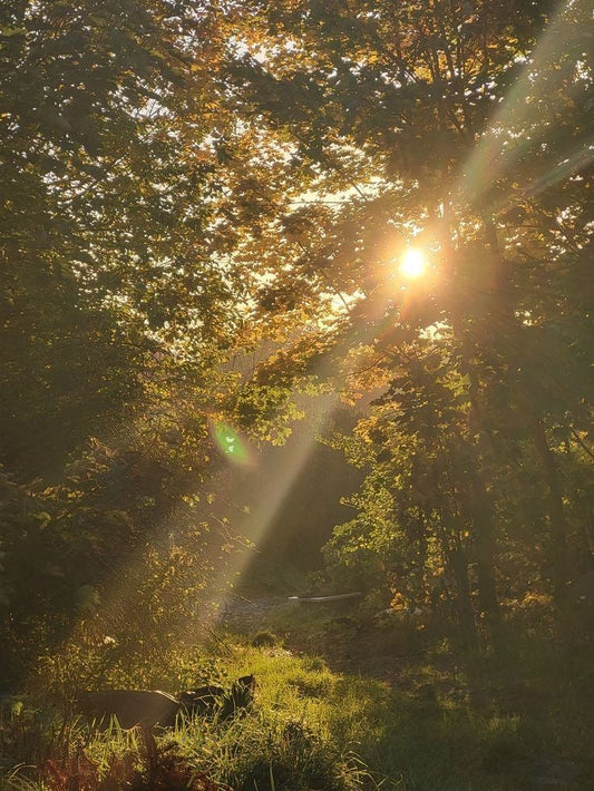 Why Are So Many Americans Vitamin D Deficient (And How to Fix It Naturally)