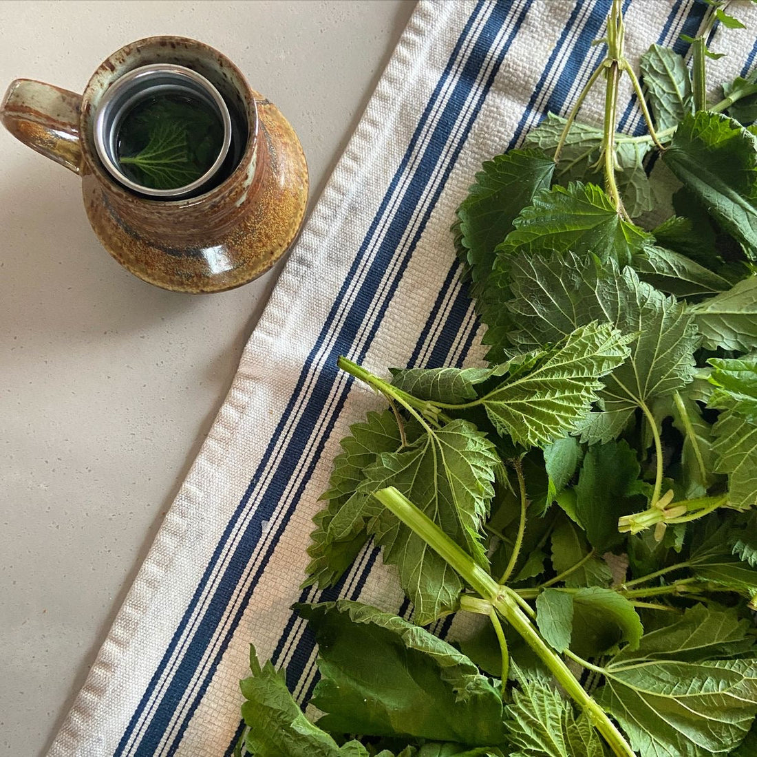 April Wellness Changes: Why You Feel More Tired, Puffy & Off in Spring